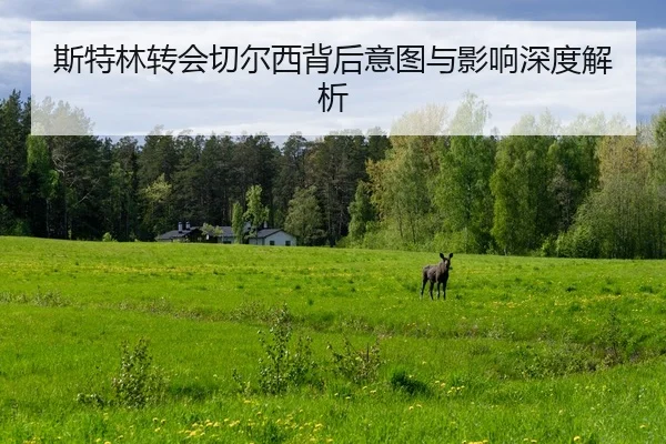 斯特林转会切尔西背后意图与影响深度解析